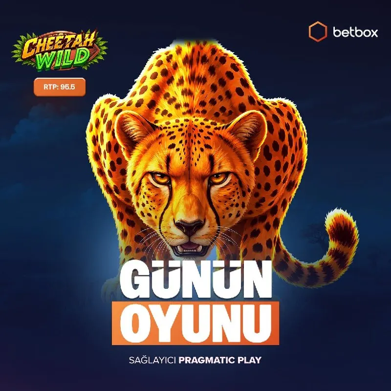 Betbox Telegram: 🐆 Box'ta günün slotu Cheetah Wild ile inanılmaz bir av başlıyor! 🌾 %95.5 RTP…