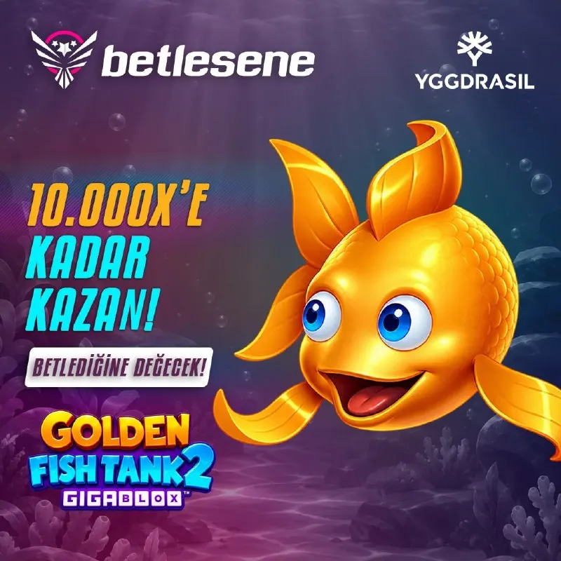 Betlesene Telegram: 🚨 YENİ OYUN ALARMI! 🐠 🏆 Golden Fish Tank 2 Gigablox Betlesene'de yerini aldı!…