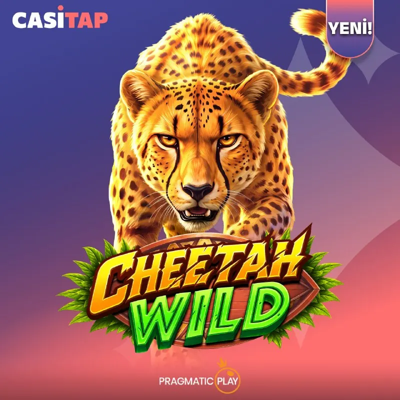 Casitap Telegram: 🆕 Cheetah Wild Spinleri! ⚡️ 💥 Haftanın yeni oyunu Cheetah Wild, Pragmatic Play…